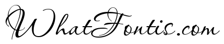 Bodega Script