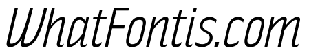 RakeslyLt-Italic