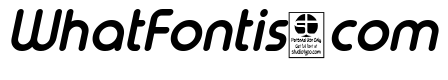 Typo Round Bold Italic Demo