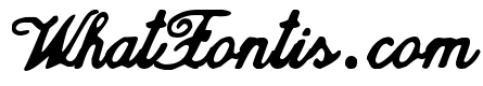 zai Calligraphy Script Handwritten
