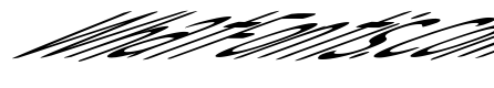 Snowfall Ultra Oblique