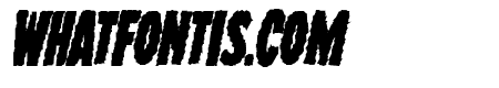 Wolf Brothers Bold Italic