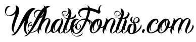 DHF Milestone Script Demo
