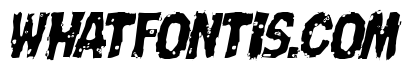 Nightmare Alley Light Italic