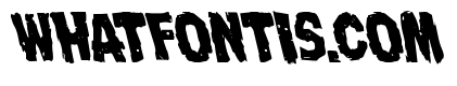 Nightmare Alley Leftalic