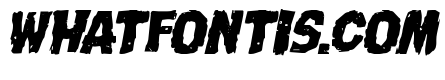 Nightmare Alley Expanded Italic