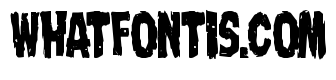 Nightmare Alley Condensed