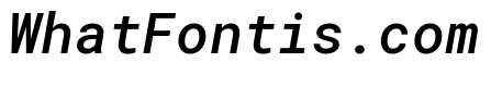 Roboto Mono Medium Italic