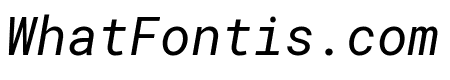 Roboto Mono Italic