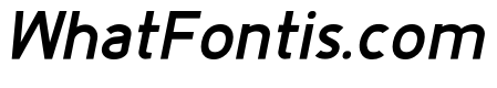 Fineness Pro Black Italic
