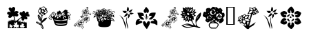 KR Kat's Flowers 4