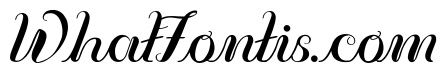 Vignette Script
