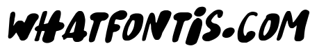 Snowy Skies Italic