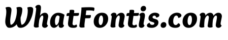 Overlock Black Italic