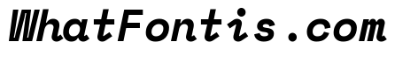 Space Mono Bold Italic