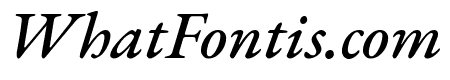 EB Garamond Medium Italic
