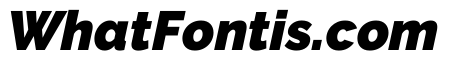 Raleway Black Italic