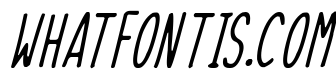 Skinny Things Italic