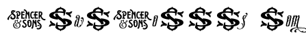 S&SAmberosaDemo