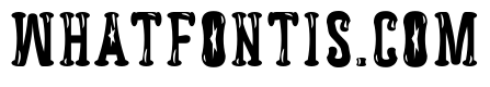 Astakhov Dished Gl FS Serif