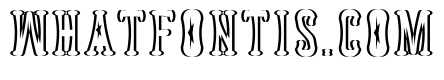 Astakhov Dished Shadow FS Serif