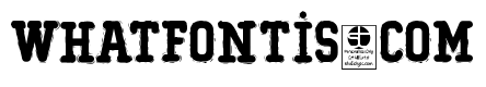 Typo College Rocking Rounded Demo