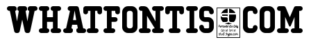 Typo College Rounded Demo
