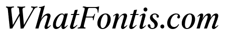 Archive Pro Italic