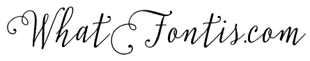 TypnicScriptSwash2