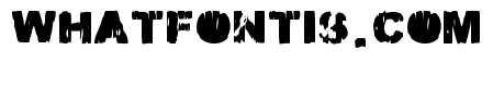 MALAMADRE