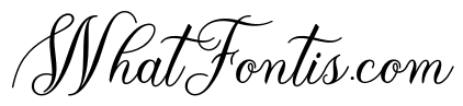 TheParagraphScript