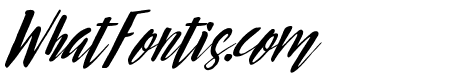 Bright Sight Italic