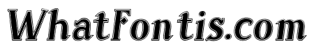 Sonten Contour-Italic