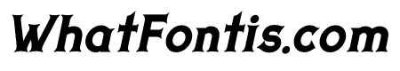 PUNA Bold Italic
