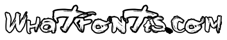 Nanost