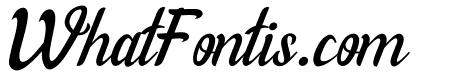 Willona Italic Italic