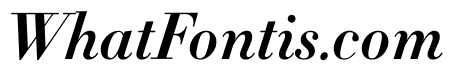Didot Bold Italic(11pt Master)