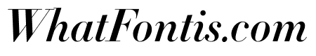 Didot Bold Italic(24pt Master)