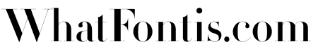 Didot Bold Roman(96pt Master)
