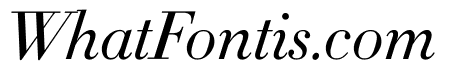 Didot Light Italic(11pt Master)