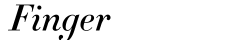 Didot Medium Italic(11pt Master)