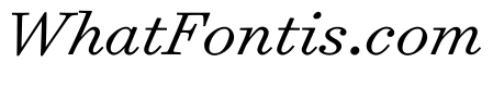 Surveyor Text Light Italic
