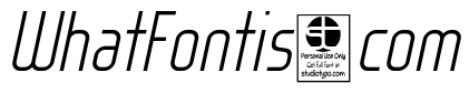 WOX~Modelist Light Italic Demo