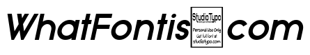 Typo Grotesk Bold Italic