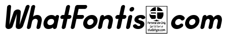 Wida Round Demo Bold Italic