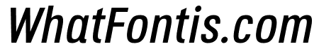 Octagen Roman Italic