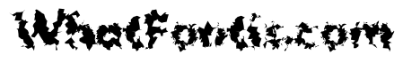 Hussar Lance ExtraBold
