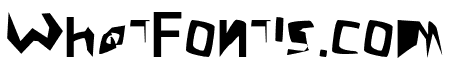 Crazy Punk