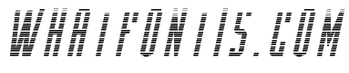 Y-Files Gradient Italic