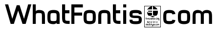 Typo Style Demo Bold